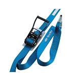 TOYO ベルト荷締機 両端アイ形 No.5010 5ｍ 25ｍｍ幅ベルト固定1ｍ×5ｍ