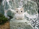 お目めパッチリふくろう(ベージュ)【小】6寸