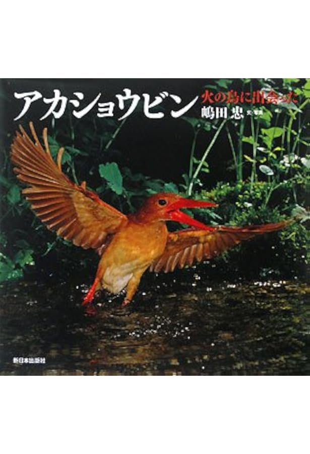 カワセミ: 青い鳥見つけた (日本の野鳥) | 嶋田 忠 |本 | 通販 | Amazon