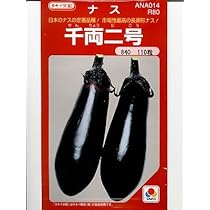 値下げ！【希少品】民芸品「唐茄子鼠」 鳴子系】こけし 八寸 約24cm こけしの岡仁 岡崎 靖男作【伝統