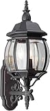 Forte Lighting 1701-03-04 Exterior Wall Light with Clear Beveled Glass Shades, Black [並行輸入品]