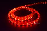 CBConcept ® 120 V smd3528 16.4フィート 16.4 Feet レッド 120VSMD3528-5M-R