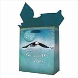Christian Art Gifts 360426 Gift Bag Soar Like Eagles With Tag & Tissue Small