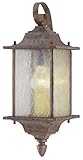 Westinghouse Lighting 6790400 One-Light Exterior Wall Lantern, Burnt Sienna Finish on Aluminum with 