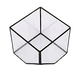 【ノーブランド品】観葉植物　箱庭用　ガラス製　モダン　テラリウム　キューブ型　S