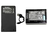 WELLSKY NP-FH50 互換バッテリー 1個 + [ 超軽量 ] USB Type c 互換充電器 バッテリーチャージャー 1個 [ 2個セット ] [ 純正品と同じよう使用可能 残量表示可能 ] ソニー HDR-TG5V HDR-G1 DSC-HX100V HDR-HX1 HDR-TG5V HDR-G1 α230 α330 α380