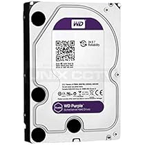 外付けハードディスク・ドライブ Western Digital WD Purple 2TB HDD x2 Amazon | Western Digital パープル 2TB HDD OEM - WD20PURX