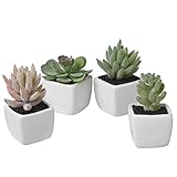 Assorted Lifelikeミニ人工多肉植物キューブホワイトセラミックポットで、4のセット