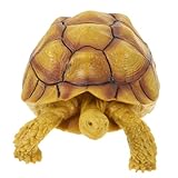 BRIGHTFUFU カメ バスルーム の プレイセット モデル カメ モデル カメ フィギュア プ