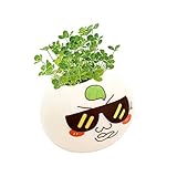 RaiFu 鉢植え　クリエイティブ　鉢植え　植木鉢　デスクトップ　風景　ホーム　ガーデン　オフィス　装飾　かわいい表情クローバー