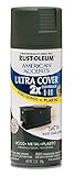 Rust Oleum AmericanアクセントUltraカバー2 xスプレーペイント 312588 1
