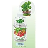 アーテック 育てるグリーンペットベジ 102959 ミニルッコラ