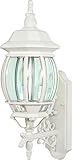 Nuvo 60/888 Arm Up Wall Lantern with Clear Beveled Panels White Large [並行輸入品]