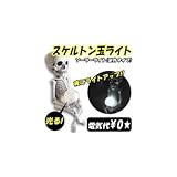 ソーラーライト(室外タイプ) スケルトン玉ライト RH-619