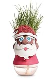 Santa Grasshead - Christmas Festive Grow Your Own Grass Head Fun Plant