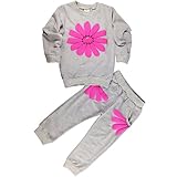 Jastore SHIRT ベビー・ガールズ US サイズ: 2T カラー: グレー
