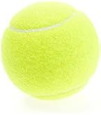 Amazon | LEZAX(レザックス) VIGORS 硬式テニスボール 2P VSTN-5778