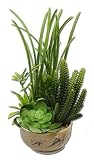 造花　フェイクグリーン　多肉植物　寄せ植え　サボテン　グリーンプラント　インテリアグリーン　E