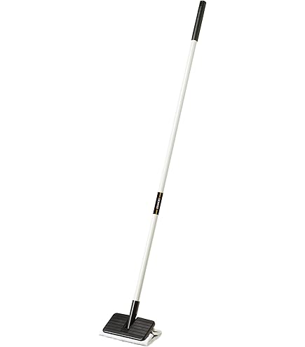 Amazon | テラモト(TERAMOTO) エコラーグ 24㎝(100g) 10枚入 (× 2