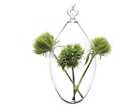 Chive, Hudson 4, Hanging Egg Vase [並行輸入品]