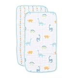 Angel Dear Burp Cloths, Dinosaur by Angel Dear [並行輸入品]