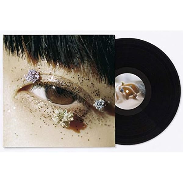 【新品未開封1st 2枚セット】初回限定盤カネコアヤノ『祝祭、燦々』レコード Amazon.co.jp: 「燦々」※初回盤(CD+DVD): ミュージック