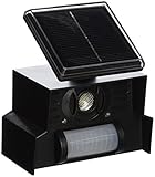SOLAR ANML CHSR