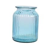 Zhhlinyuan 良質 Transparent Blue Stripe Glass Flower Vase Fashion Home Decoration