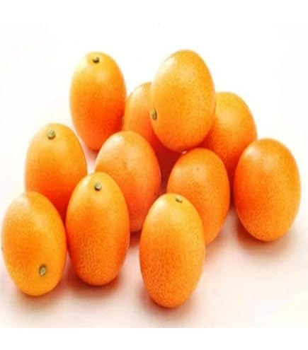 Amazon.co.jp: こん太きんかん (M〜4L) 5袋セット(約750g) 金柑