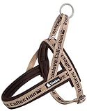 cocomall 喉に優しいハーネス 2022最新 TRUE LOVE日本授権店 犬用ハーネス 犬用胴輪 ドッグ ペット用品 3M反射材料 訓練 お出かけ ネオプラン素材 小型犬、中型犬、大型犬に向け 通気性 調節可能 夏に対応 (S, ブラウン)
