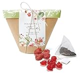 ドライフルーツ＆ティーバッグ プチギフト１個 種類をお選びください お礼品 (ストロベリー＆チェリー)