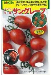 Amazon ミニトマト 種 サングレープ 種子 小袋 野菜