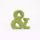 A plus floral art インテリアグリーン イニシャルモス [ & ] アルファベット オブジェ 置物 苔 イニシャル 雑貨 北欧風 インテリア
