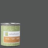 Inspired Flat Interior Paint, Metal .05, Quart [並行輸入品]