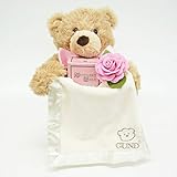 出産祝い/ママにやさしいハーブティーとおしゃべりクマセット・リボンラッピング付き (女の子用)