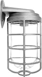 RAB VBR200P Vapor Proof Bracket Outdoor Sconce [並行輸入品]