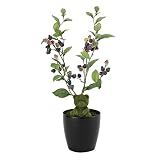 観葉植物 造花 「ブルーベリーベア 44cm」 光触媒(空気清浄) インテリアグリーン 鉢植え