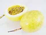 パッションフルーツ Passiflora edulis Passifloraceae 25 Seeds ThailandMrk