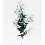 Bulk Buy : Darice DIYクラフトダブルGypsophila / Baby 's Breathスプレーホワイト( 12パック) ds-104 – 01