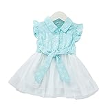 【SEBLES】ベビー服 女の子 女子 ワンピース ドレス シフォン オーガンジー スカート ノースリーブ プリント 花柄 春 夏 ふんわり スカート 0歳 1歳 2歳(ブルー,90cm)