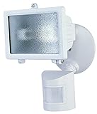 150W WHT FLD Light [並行輸入品]