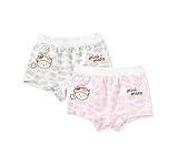 2つの通気性の快適な赤ちゃんの下着のブリーフのセットパンティーの灰色のピンク、2〜3年