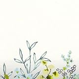 22274730 – Vert Jaune Mur Alors Fleur Casadeco Papier peint peinture Murale