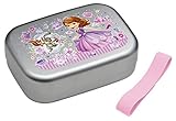 スケーター 子供用 弁当箱 アルミ製 ソフィア 19 ディズニー 370ml ALB5NV