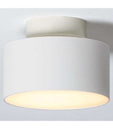 Amazon.co.jp: パナソニック(Panasonic) リビングライコン5マルチ調光