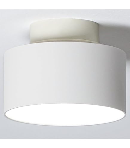 Amazon.co.jp : SWAN Another Garden Crux Antique White ASP-802AW