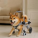 犬用車椅子 四輪 軽量 安定設計 歩行補助 ペット リハビリ 介護 中型犬 大型犬 怪我 老犬 散歩 サポート ハーネス付き 四輪 S