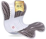 【冷感TPE新素材】HEYLUKONG 姿勢矯正椅子 日本限定・Amazon限定カラー 高反発ゲル 洗える クッション 腰が痛くならない
