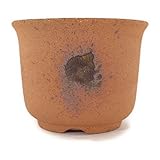 信楽焼 植木鉢 吹丸 3.5号鉢 鉢幅10.5cm×高さ8.5cm 盆栽鉢 陶器鉢 盆栽妙