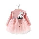 RoRykon　ベビー服 子供服 女の子 ワンピース ドレス 長袖 おしゃれ かわいい 花刺繍 フォーマルドレス 2点セット 通園 発表会 旅行 記念日 プレゼント (ピンク, 80cm（おすす身長：